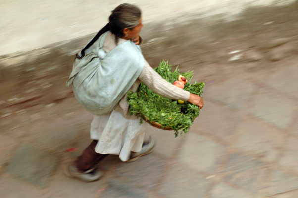 Peru Photo